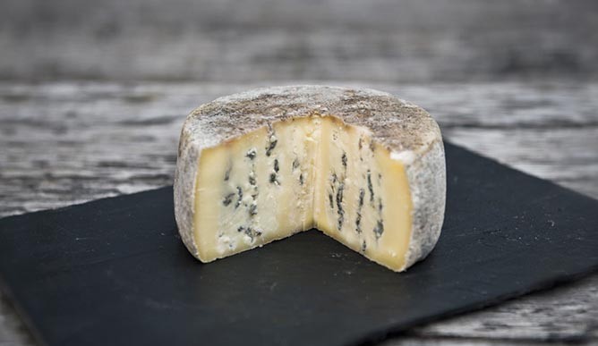 پنیر آبی توسط لانگروتی